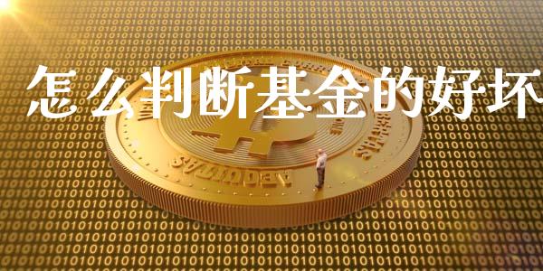 怎么判断基金的好坏_https://m.fsyjjx.cn_股指期货保证金_第1张