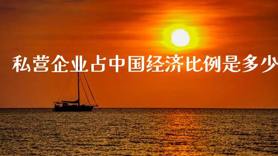 私营企业占中国经济比例是多少_https://m.fsyjjx.cn_期货保证金_第1张