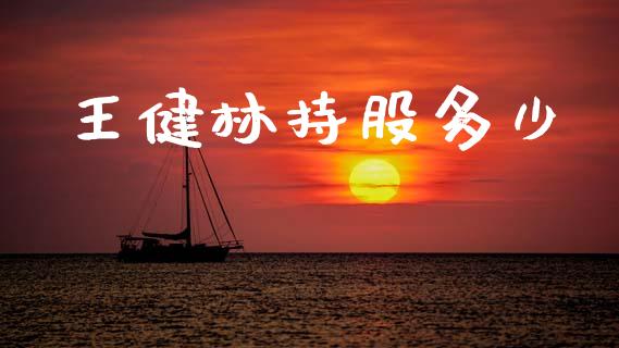 王健林持股多少_https://m.fsyjjx.cn_股指期货保证金_第1张