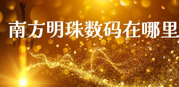 南方明珠数码在哪里_https://m.fsyjjx.cn_期货保证金_第1张