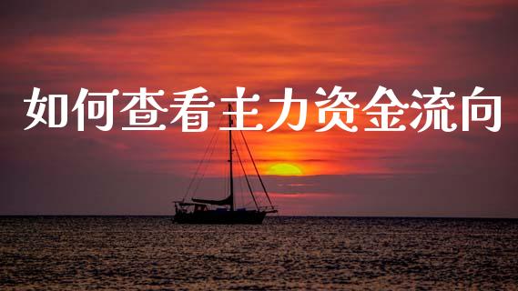 如何查看主力资金流向_https://m.fsyjjx.cn_期货如何开户_第1张