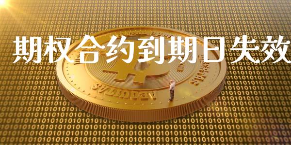 期权合约到期日失效_https://m.fsyjjx.cn_期货保证金_第1张