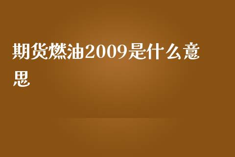 期货燃油2009是什么意思_https://m.fsyjjx.cn_期货保证金计算_第1张