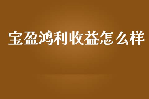 宝盈鸿利收益怎么样_https://m.fsyjjx.cn_期货如何开户_第1张