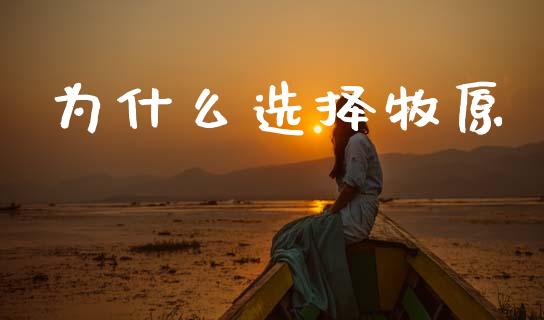 为什么选择牧原_https://m.fsyjjx.cn_期货保证金_第1张