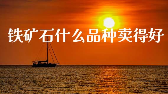 铁矿石什么品种卖得好_https://m.fsyjjx.cn_期货保证金_第1张