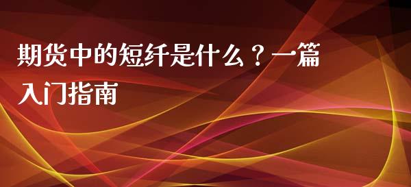 期货中的短纤是什么？一篇入门指南_https://m.fsyjjx.cn_期货保证金_第1张