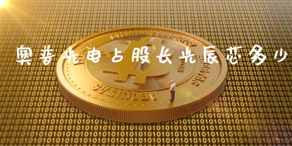 奥普光电占股长光辰芯多少_https://m.fsyjjx.cn_期货保证金计算_第1张