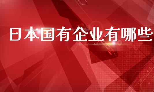 日本国有企业有哪些_https://m.fsyjjx.cn_股指期货保证金_第1张
