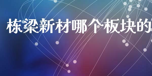 栋梁新材哪个板块的_https://m.fsyjjx.cn_期货保证金_第1张