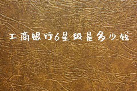 工商银行6星级是多少钱_https://m.fsyjjx.cn_股指期货保证金_第1张