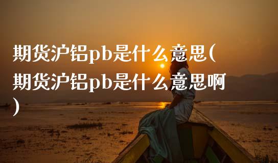 期货沪铝pb是什么意思(期货沪铝pb是什么意思啊)_https://m.fsyjjx.cn_股指期货保证金_第1张