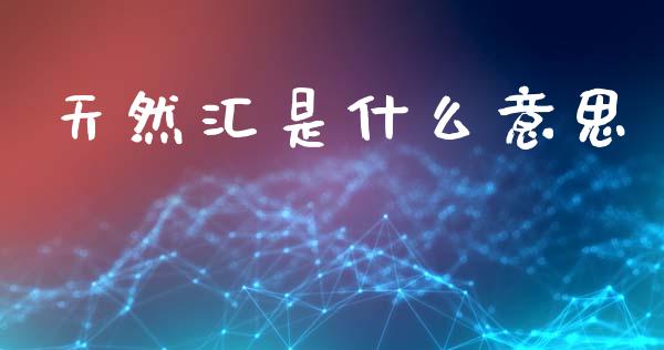 天然汇是什么意思_https://m.fsyjjx.cn_期货如何开户_第1张