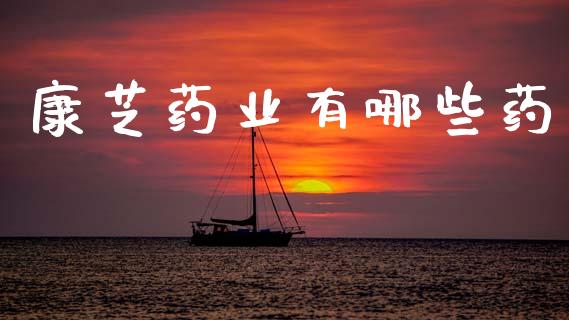 康芝药业有哪些药_https://m.fsyjjx.cn_期货如何开户_第1张