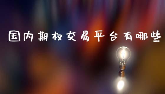 国内期权交易平台有哪些_https://m.fsyjjx.cn_期货保证金_第1张