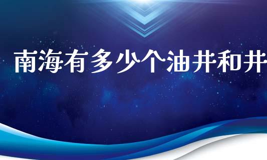南海有多少个油井和井_https://m.fsyjjx.cn_期货如何开户_第1张