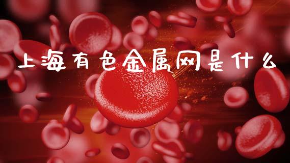 上海有色金属网是什么_https://m.fsyjjx.cn_期货保证金_第1张