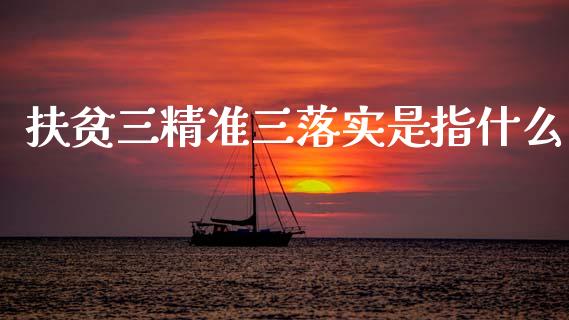 扶贫三精准三落实是指什么_https://m.fsyjjx.cn_期货保证金_第1张