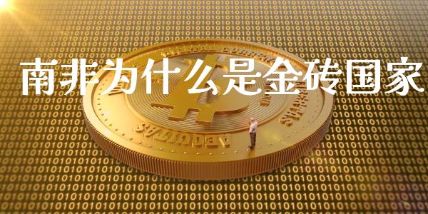 南非为什么是金砖国家_https://m.fsyjjx.cn_期货保证金计算_第1张