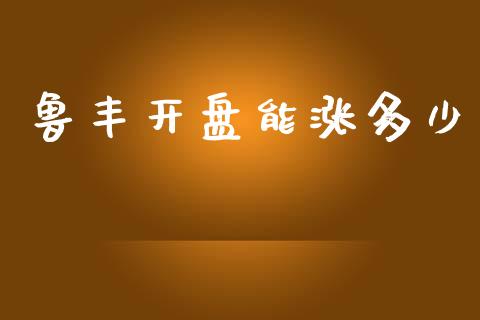 鲁丰开盘能涨多少_https://m.fsyjjx.cn_股指期货保证金_第1张