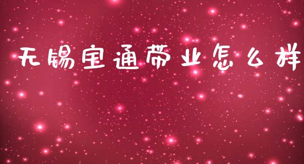 无锡宝通带业怎么样_https://m.fsyjjx.cn_期货保证金计算_第1张