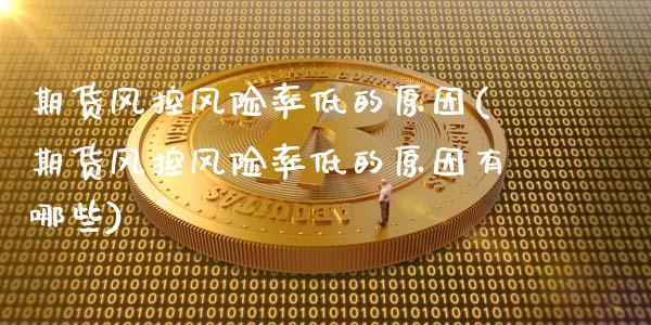 期货风控风险率低的原因(期货风控风险率低的原因有哪些)_https://m.fsyjjx.cn_期货保证金_第1张