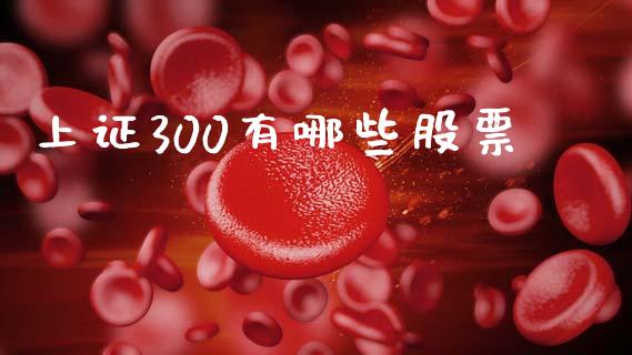 上证300有哪些股票_https://m.fsyjjx.cn_期货保证金_第1张