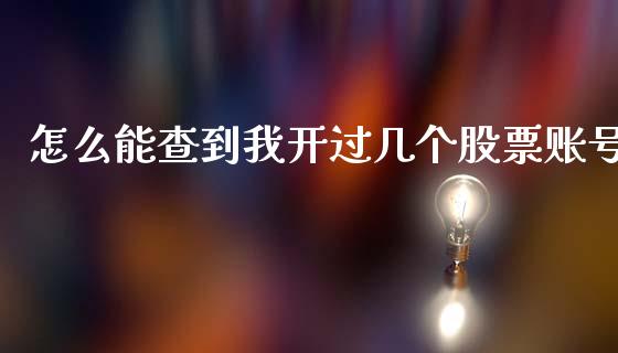 怎么能查到我开过几个股票账号_https://m.fsyjjx.cn_期货如何开户_第1张