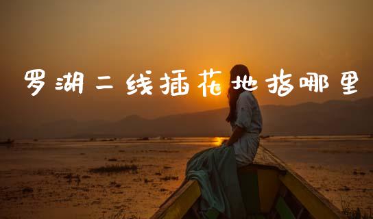 罗湖二线插花地指哪里_https://m.fsyjjx.cn_期货保证金计算_第1张