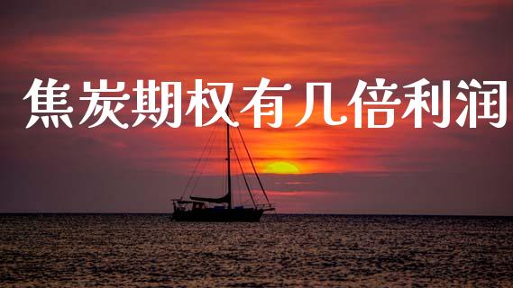 焦炭期权有几倍利润_https://m.fsyjjx.cn_期货保证金_第1张