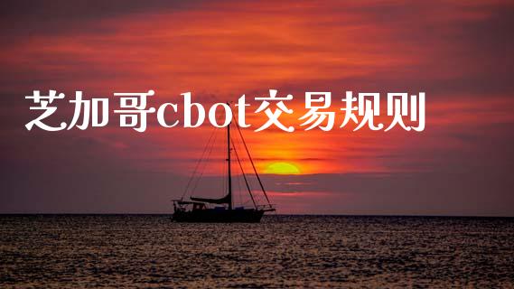 芝加哥cbot交易规则_https://m.fsyjjx.cn_期货保证金计算_第1张