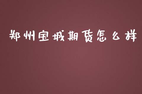 郑州宝城期货怎么样_https://m.fsyjjx.cn_期货保证金_第1张
