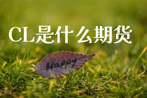 CL是什么期货_期货保证金计算_第1张_期货如何开户_期货保证金_期货保证金计算_股指期货保证金 CL是什么期货_https://m.fsyjjx.cn_期货保证金计算_第1张