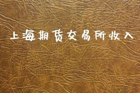 上海期货交易所收入_https://m.fsyjjx.cn_股指期货保证金_第1张