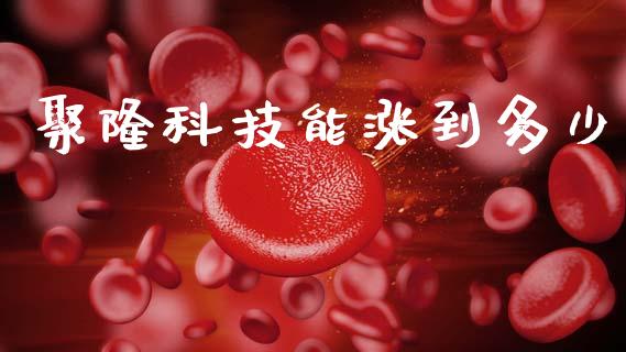 聚隆科技能涨到多少_https://m.fsyjjx.cn_期货保证金_第1张