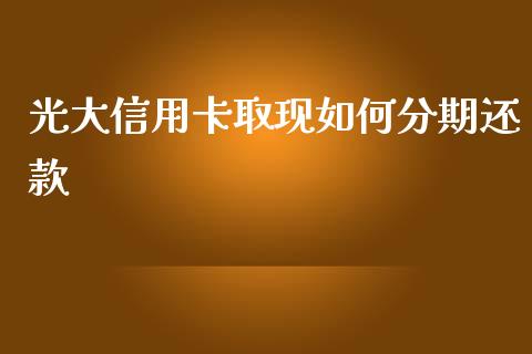 光大信用卡取现如何分期还款_https://m.fsyjjx.cn_期货保证金_第1张