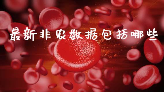 最新非农数据包括哪些_https://m.fsyjjx.cn_期货保证金_第1张