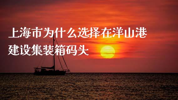 上海市为什么选择在洋山港建设集装箱码头_https://m.fsyjjx.cn_期货保证金计算_第1张