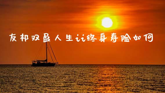 友邦双盈人生ii终身寿险如何_https://m.fsyjjx.cn_期货保证金计算_第1张