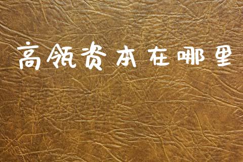 高瓴资本在哪里_https://m.fsyjjx.cn_期货保证金_第1张
