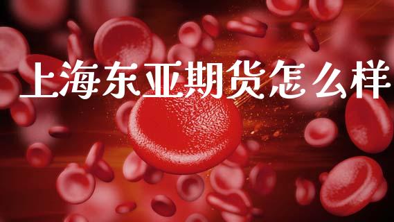 上海东亚期货怎么样_https://m.fsyjjx.cn_股指期货保证金_第1张
