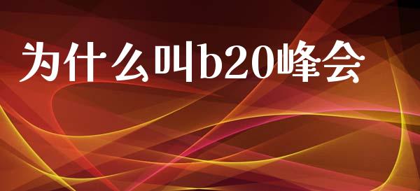 为什么叫b20峰会_https://m.fsyjjx.cn_期货如何开户_第1张