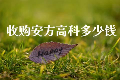 收购安方高科多少钱_https://m.fsyjjx.cn_期货保证金计算_第1张