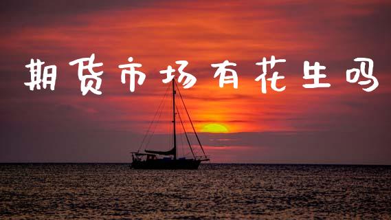 期货市场有花生吗_https://m.fsyjjx.cn_期货保证金_第1张