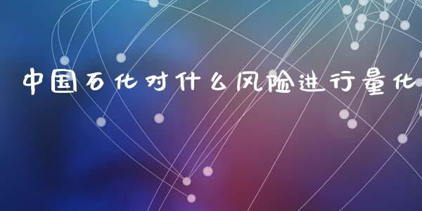 中国石化对什么风险进行量化_https://m.fsyjjx.cn_期货如何开户_第1张