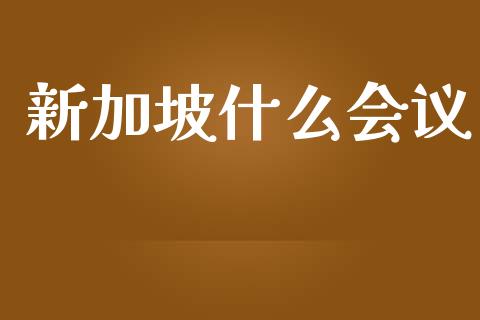 新加坡什么会议_https://m.fsyjjx.cn_股指期货保证金_第1张