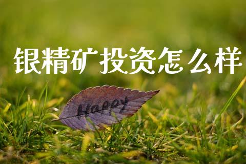 银精矿投资怎么样_https://m.fsyjjx.cn_期货如何开户_第1张