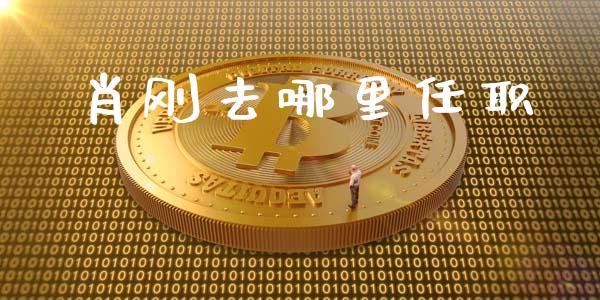 肖刚去哪里任职_https://m.fsyjjx.cn_期货如何开户_第1张