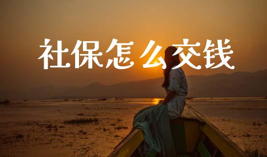 社保怎么交钱_https://m.fsyjjx.cn_期货保证金计算_第1张