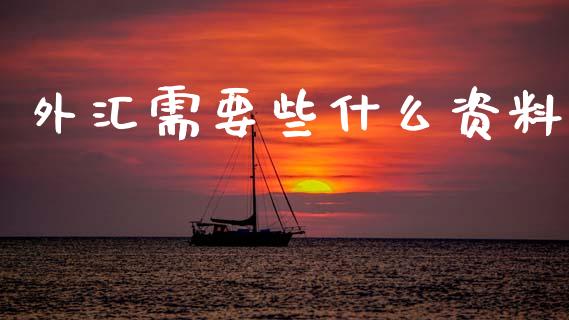 外汇需要些什么资料_https://m.fsyjjx.cn_股指期货保证金_第1张